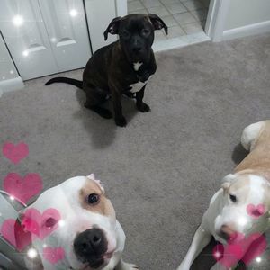 Meet your Posher, Wendi